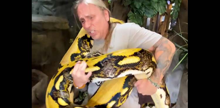 Viral Video: Massive python squeezes handler