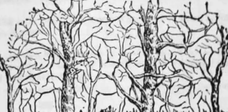 Can you find all eight animals in this puzzle picture?