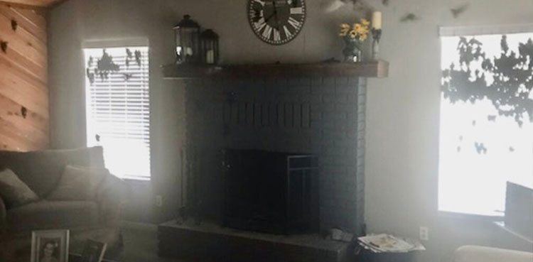 US couple returns home to find house filled with birds