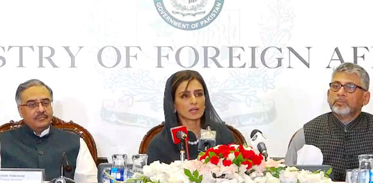 Pakistan one step away to come off FATF grey list: Hina Rabbani