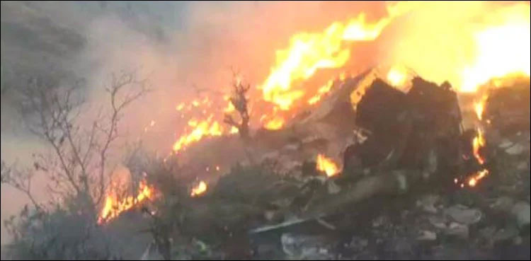 KP police claims forests were set ablaze deliberately!