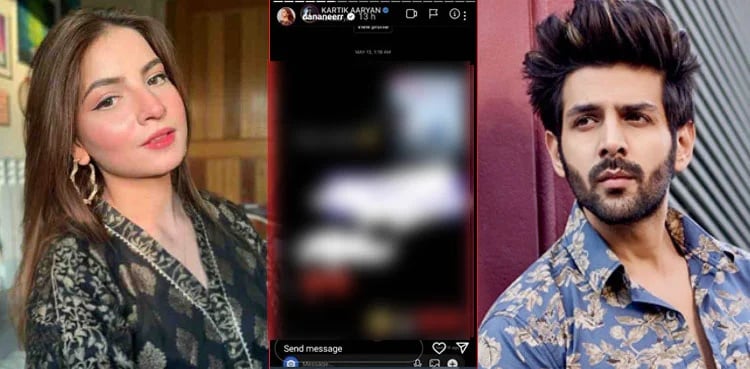 Dananeer Mobeen reveals Instagram chat with Kaartik Aaryan