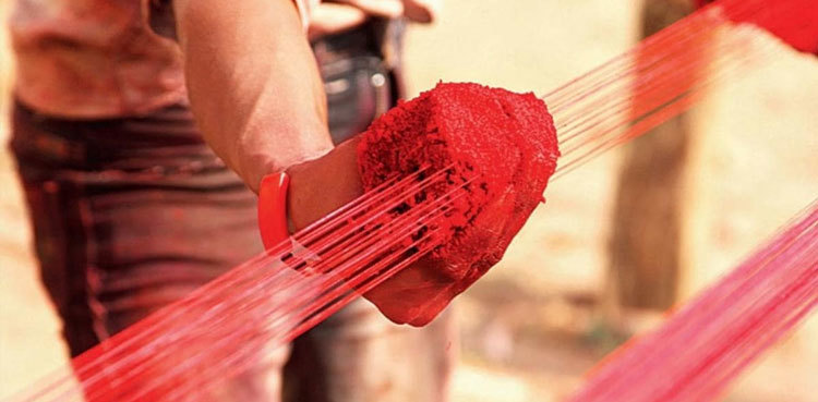 CM Punjab calls for strict laws against kite flying