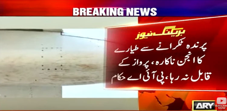 Lahore-bound PIA flight escapes accident after bird strike