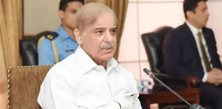 PM Shehbaz Sharif reconstitutes Economic Advisory Council
