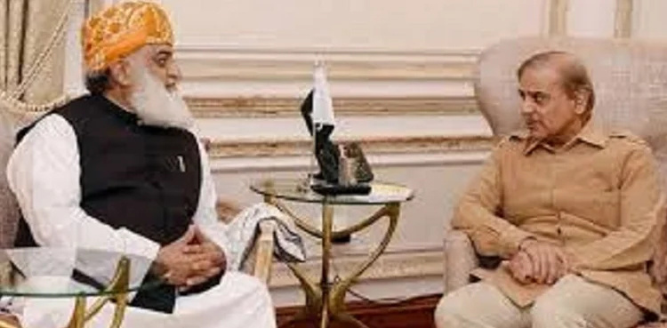 Interest-free economy: PM Shehbaz Sharif assures JUI-F chief of withdrawing petition