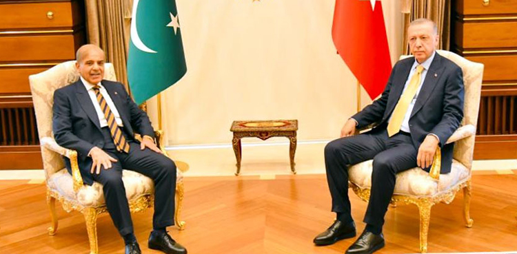 PM Shehbaz Sharif, Turkish president discuss regional, int'l issues