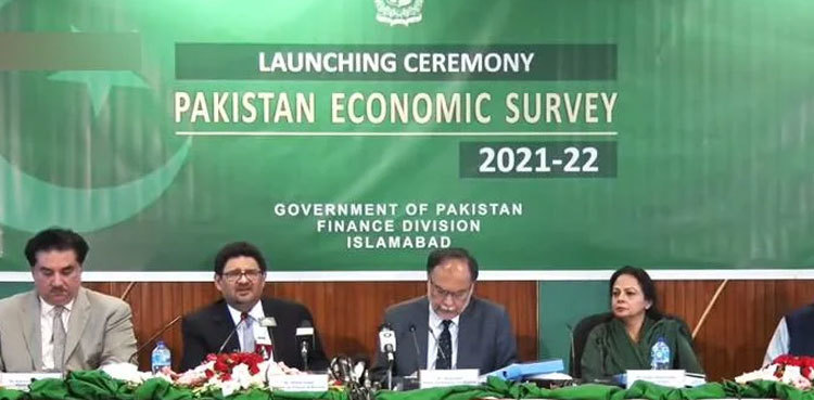 Govt unveils Pakistan Economic Survey 2021-22