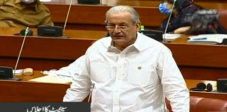 Raza Rabbani demands Parliament's joint session over talks with TTP