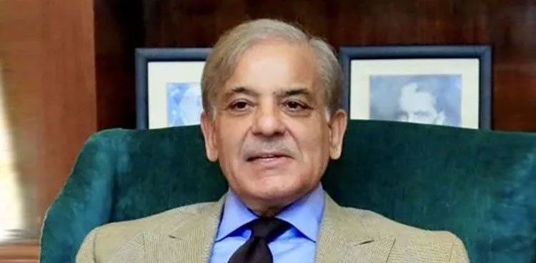 'Govt is left with no choice', says PM Shehbaz Sharif on fuel hike