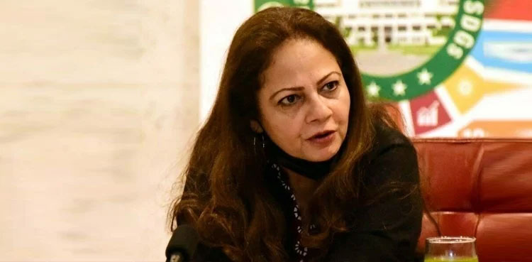 Minister confirms seeking US support for IMF programme revival