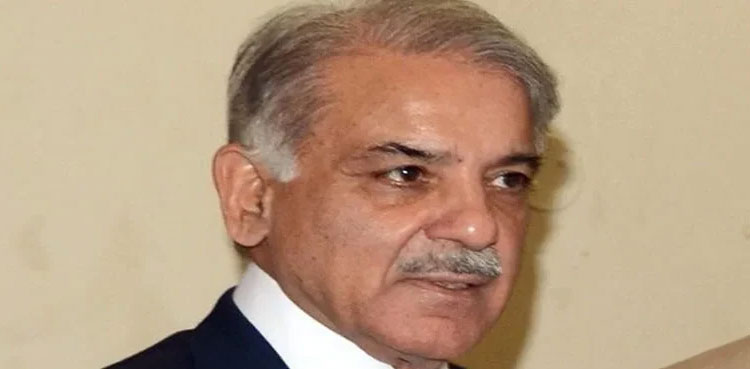 PM Shehbaz vows to facilitate Saudi investors
