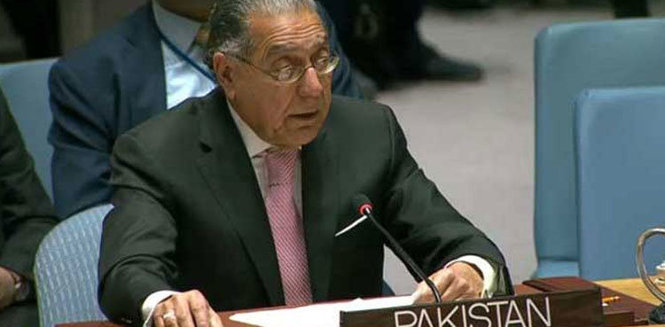 Pakistan calls for humanitarian assistance for IIOJK people