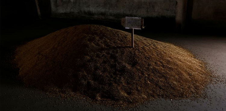 Turkish team to discuss Black Sea grain corridor in Russia this week: sources