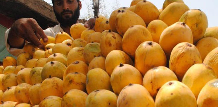 Karachi cop beats fruit-seller over trivial issue