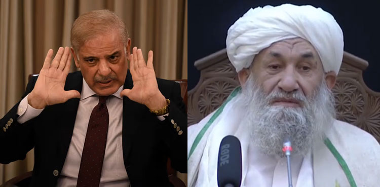 PM Shehbaz assures Pakistan's support to quake-hit Afghanistan