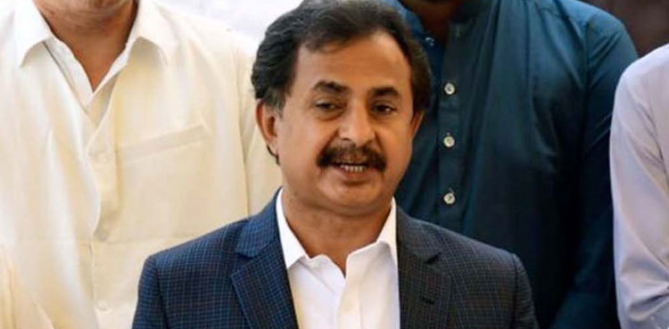 SHC rejects Haleem Adil Sheikh's plea against anti-corruption