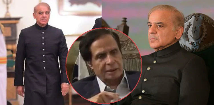 Pervaiz Elahi lambasts govt over petroleum price hike