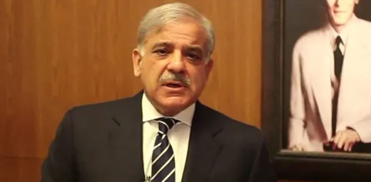 PM Shehbaz Sharif says granting transit visa will help Afghans