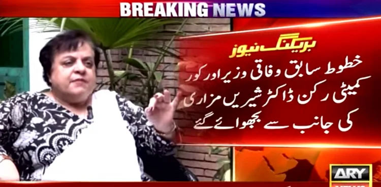 PTI sends evidence of 'govt crackdown' during long march to UN