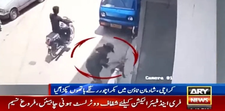 WATCH: Goat thief caught red-handed in Karachi