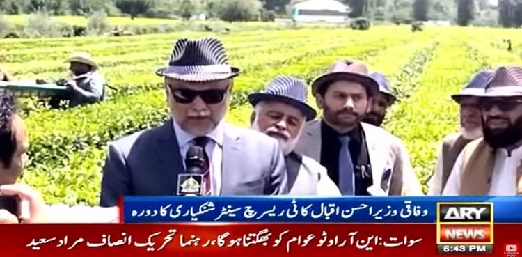 Ahsan Iqbal shares plan for tea production in Pakistan