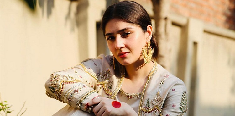 'Full of peaks, valleys, and an abyss': Dur-e-Fishan on life of an actor