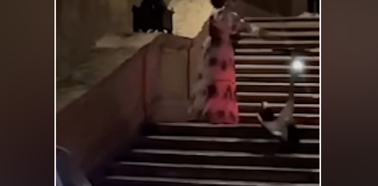 Woman damages heritage site by throwing e-scooter; video goes viral