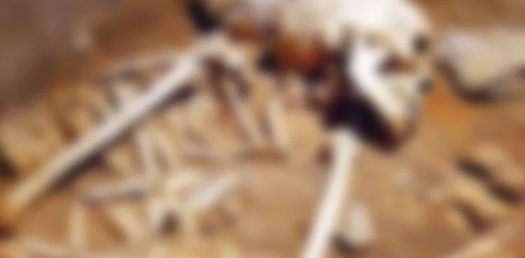 Karachi: Remains of human bodies found during excavation of plot