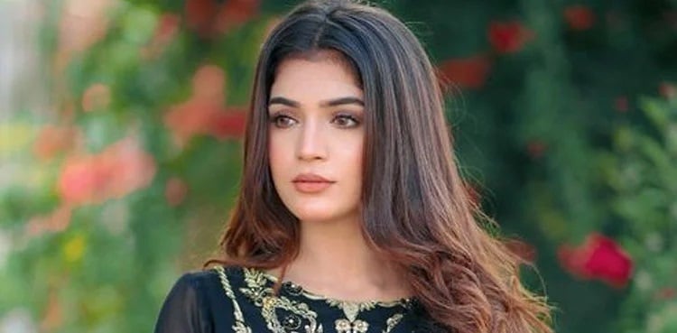 Actor Laiba Khan's latest pictures go viral