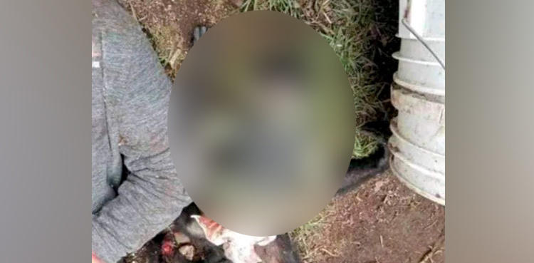 Viral: Police kill bulletproof vest wearing monkey in shootout