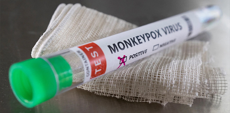 WHO decides on sounding highest alarm on monkeypox