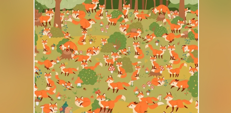 Optical illusion: Finding blue-eyed fox in 25 seconds can make you record holder