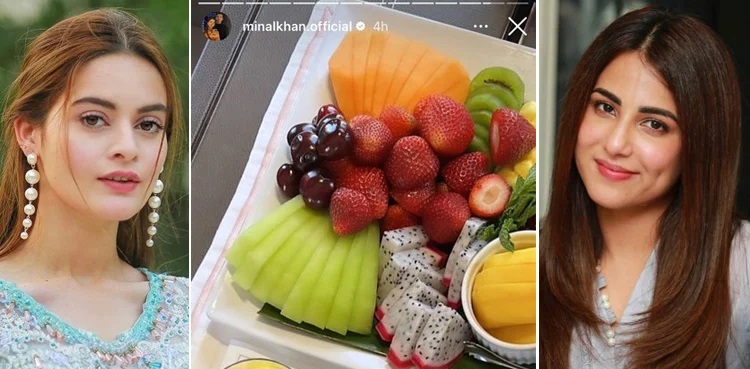 Ushna Shah backs Minal Khan amid 'Kylie breakfast' blunder