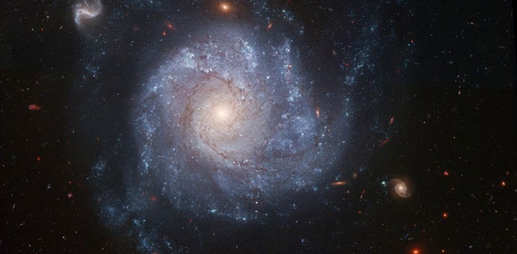 Meet the 'zombie star' that survived a supernova blast