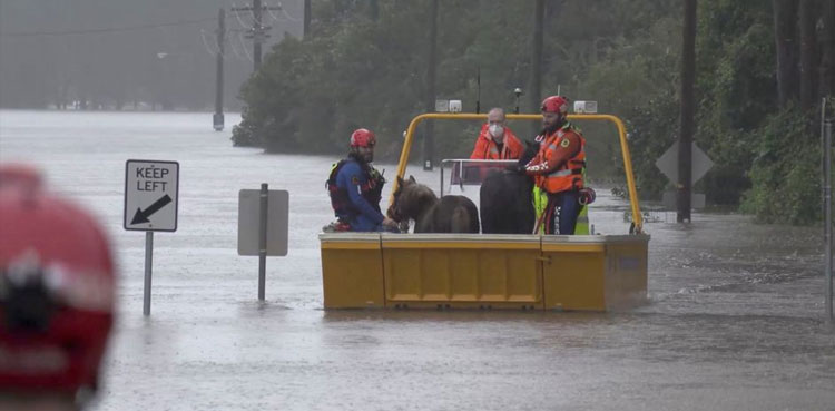 Floods hit southeast Australia, forcing evacuations