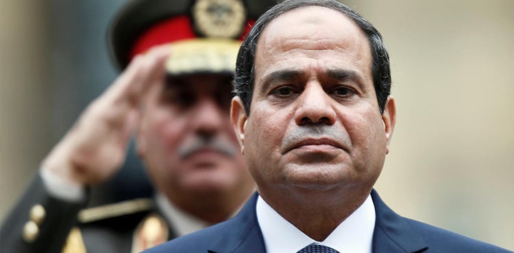 Egypt's Sisi pardons jailed journalist, researcher