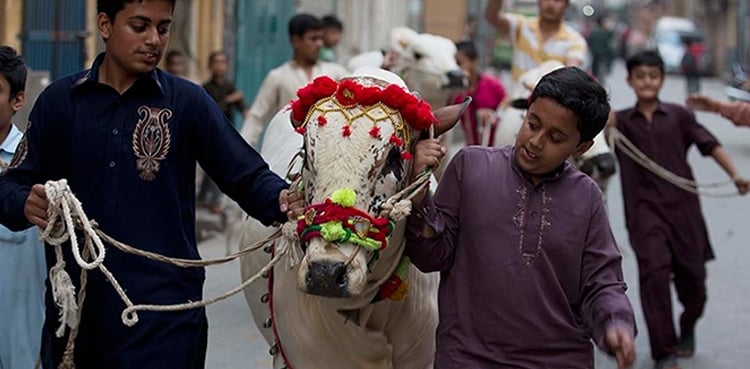 PM Shehbaz Sharif sent summary for Eidul Azha holidays