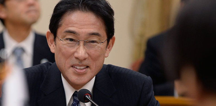 Japan election: what you need to know