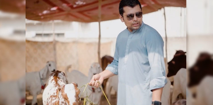 Kamran Akmal's sacrificial goat stolen outside Lahore house