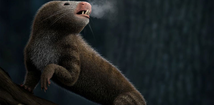 Scientists reveal origin of mammal evolution milestone