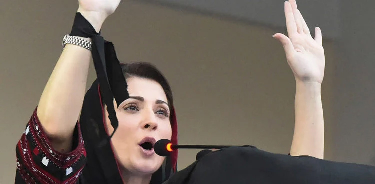 Maryam Nawaz appointed PML-N’s vice-president, chief organiser