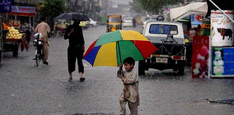 Torrential rains: Monsoon emergency helpline launched