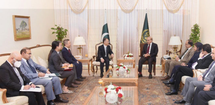 PM Shehbaz Sharif appreciates Chinese support to Pakistan's sovereignty