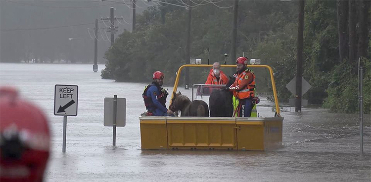 Sydney residents told to evacuate as rains flood suburbs