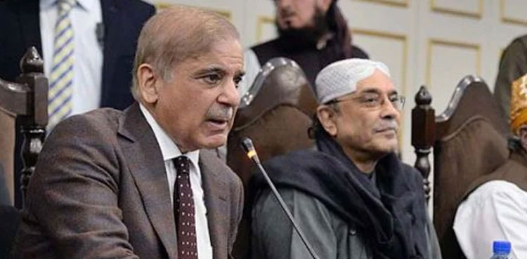 PM Shehbaz Sharif, Asif Zardari discuss political situation