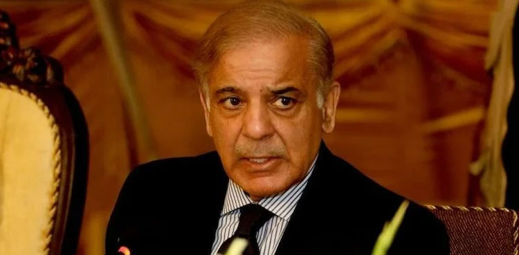 PM Shehbaz Sharif establishes flood relief fund, asks people to donate