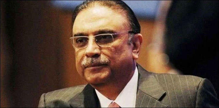 Bakhtawar Bhutto reveals reason why Asif Zardari left for Dubai
