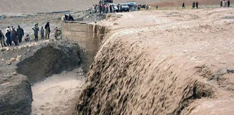 KP govt imposes emergency in Swat following floods
