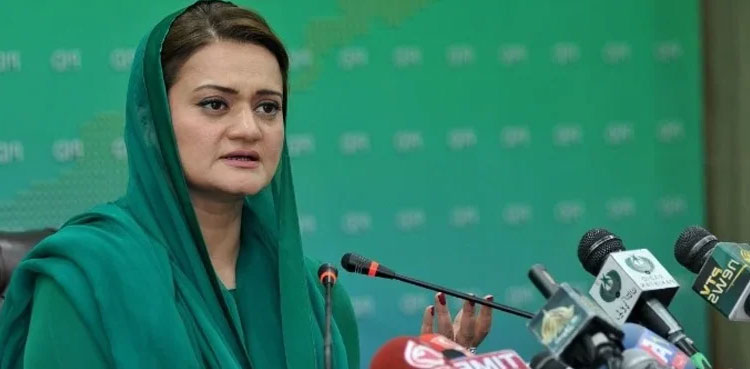 'Judicial coup': PML-N responds to SC's verdict on CM Punjab election